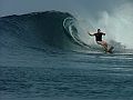 Rob, Mentawai 2